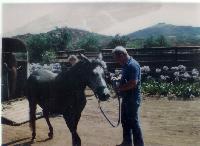 roufetta being delivered to steiner ranch